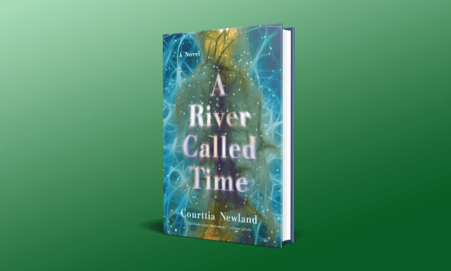 A River Called Time by Courttia Newland review – a vivid alternate reality 2