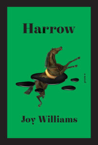 Book Review Of Harrow