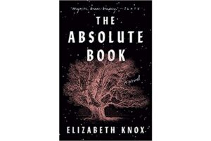 The Absolute Book by Elizabeth Knox review – an instant classic 1