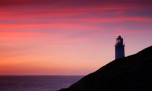 Any individual who experienced childhood in Scotland during the 70s and mid 80s can inform you regarding the beacon attendants of the far off Flannan Isles in the Outer Hebrides in the mid twentieth century. The account of the three men who settled down to eat just to apparently disappear like a phantom frequented my adolescence – and apparently of Emma Stonex as well. The creator's first novel under her own name ships the area to the affectionate yet distant Cornish coast and updates the activity, conceivably, to 1972 – a period when cell phones don't exist – prior to blazing forward to 1992 when an analytical writer accepts he has uncovered reality yet needs the men's totally different widows and sweethearts to demonstrate it.   These changes separated, occasions remain unnervingly comparable: the halted tickers; the incomplete dinners; the log that records a weighty tempest regardless of clear skies that week; the strange guest.   Stonex is amazing on the pressures between the three men: laid-back Vince attempting to surpass a vicious past, Arthur, the central attendant who has done the work so well and who can't force himself to stop on account of an awful confidential, and withdrawn Bill, whose quiet conceals a despairing streak.   Stonex proficiently catches the repetitiveness of that life – "I've been over here excessively long," [thinks Arthur]. "Desolate evenings and reels of sark spooling and disentangling to the dark ocean" – and her plot turns with as much accuracy as Arthur's dearest watches prior to reaching a wonderful, astounding resolution.   However instead of the secret, it is the confounded connection between the three ladies left behind that is generally distinctive. Smooth, working class Helen steadfastly tending her dead spouse's fire, drab Jenny who needs to put everything behind her and Michelle who was exceptionally youthful when she met Vince and has fabricated another life.   Contempt, doubt, lies and an unforeseen kind of affection ties these ladies in an exquisite novel that is as inspired by the thought of expectation and acknowledgment for what it's worth in murder and vengeance.