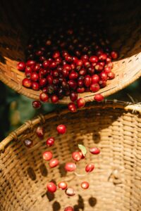 Barbados Cherry Nutrition Facts and Health Benefits 1