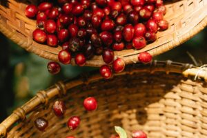 Barbados Cherry Nutrition Facts and Health Benefits 1