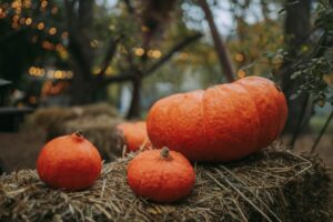 Pumpkin Nutrition Facts and Health Benefits