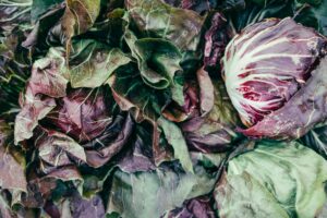 Radicchio Nutrition Facts and Health Benefits