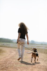 How to Walk With Your Dog 2