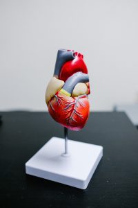 Tips to Avoid Coronary Heart Disease