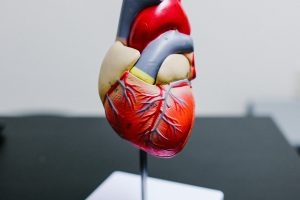 Tips to Avoid Coronary Heart Disease