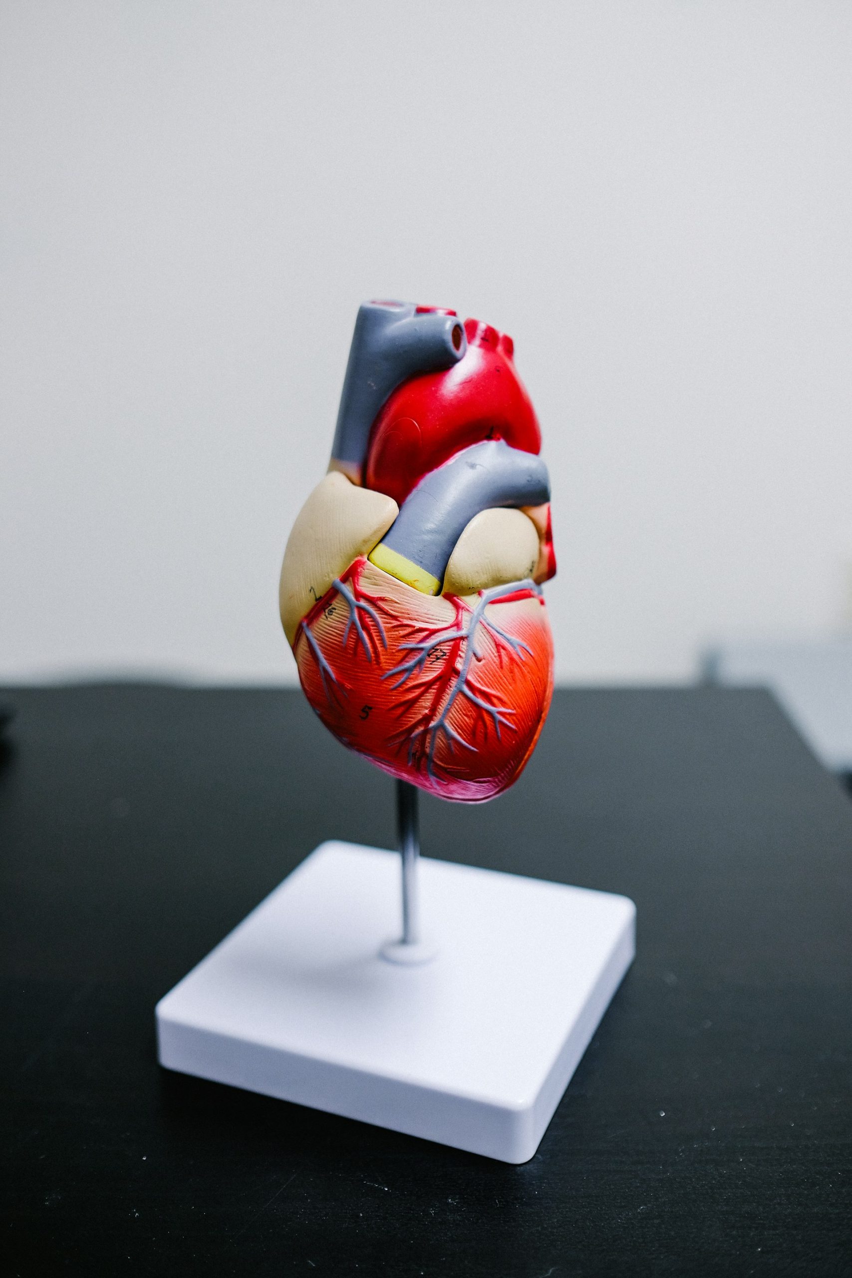 Tips to Avoid Coronary Heart Disease