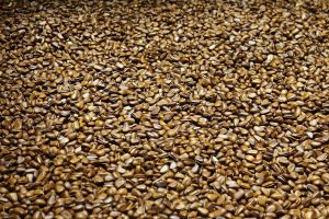 Nutritional Information and the Advantages of Flax Seeds for Your Health