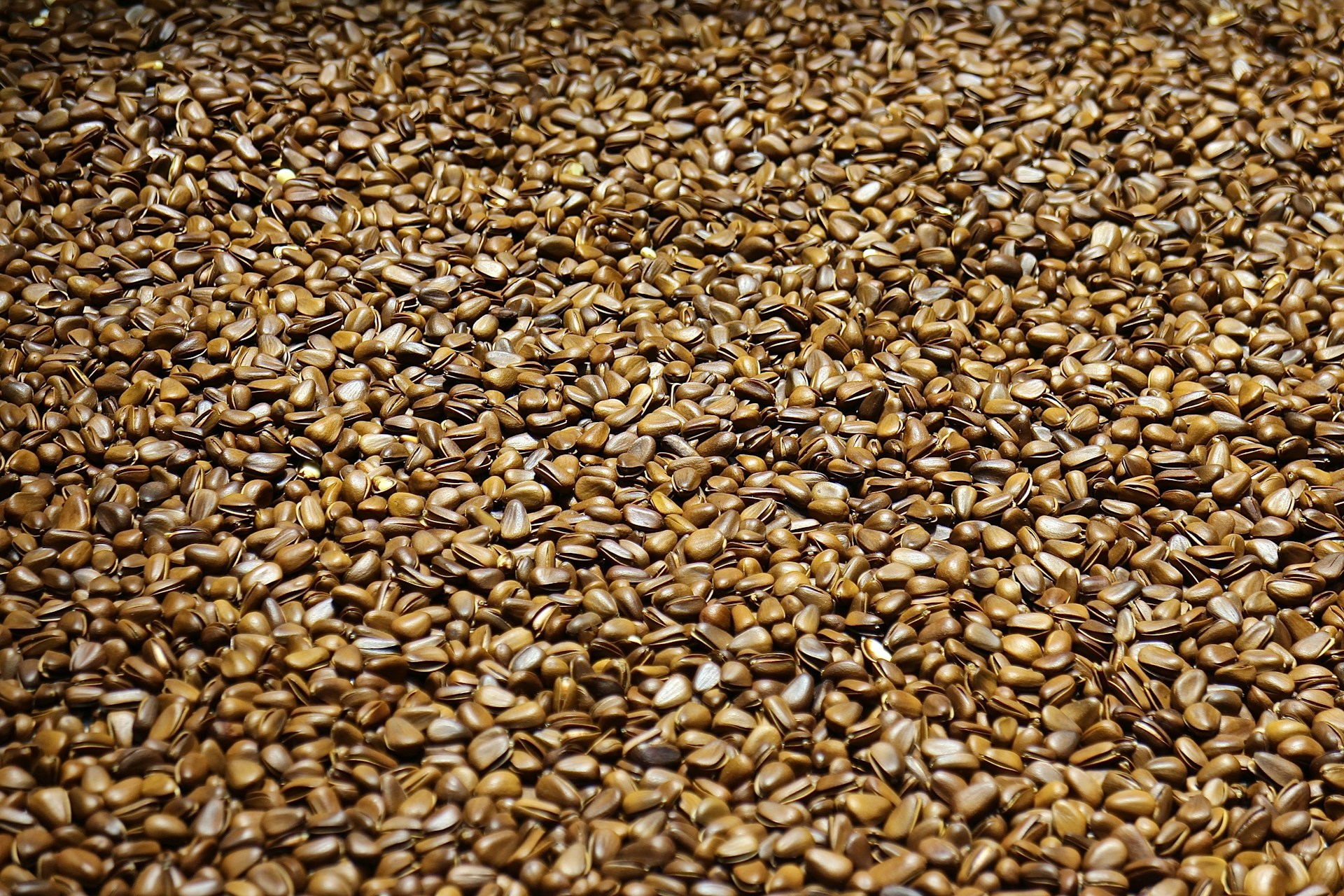 Nutritional Information and the Advantages of Flax Seeds for Your Health