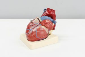 Your Handbook for Enhanced Heart Health