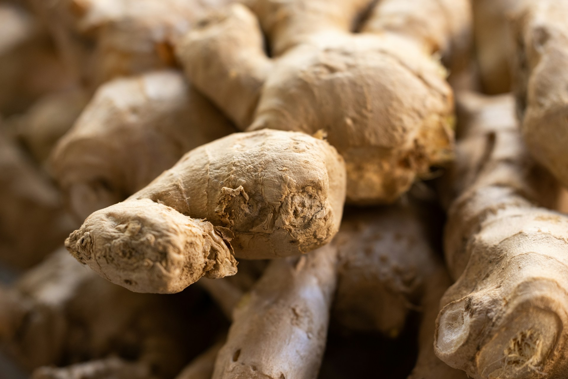 The Amazing Health Benefits of Ginger: Why This Root Should Not Missing in Your Daily Routine?