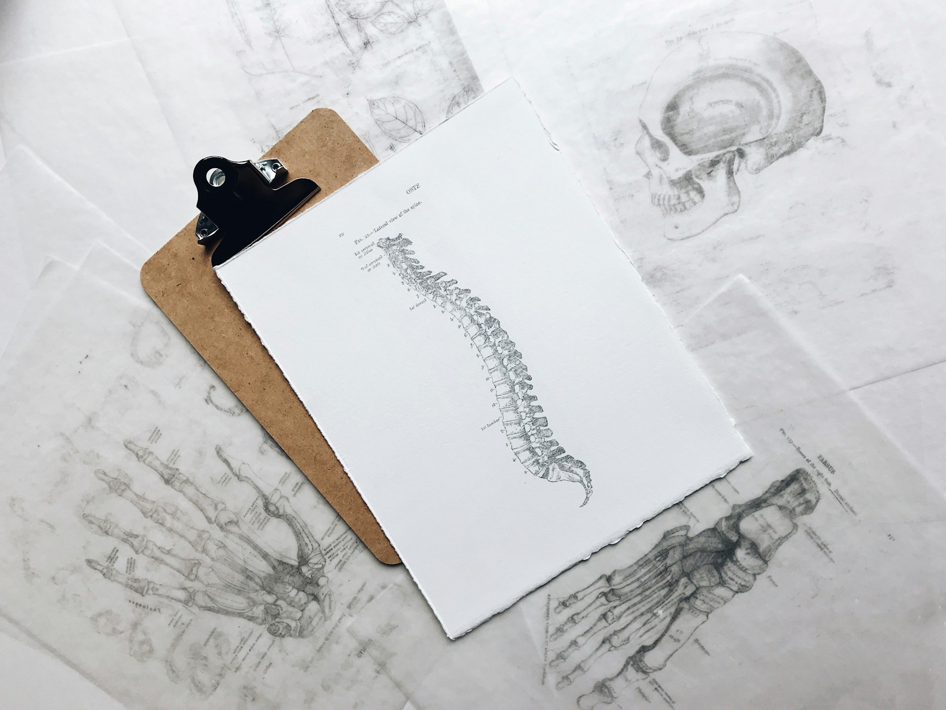 How may exercise help you to improve your posture? Feel better, move better, live better.