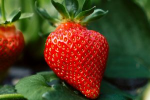 Benefits of Strawberries for Health