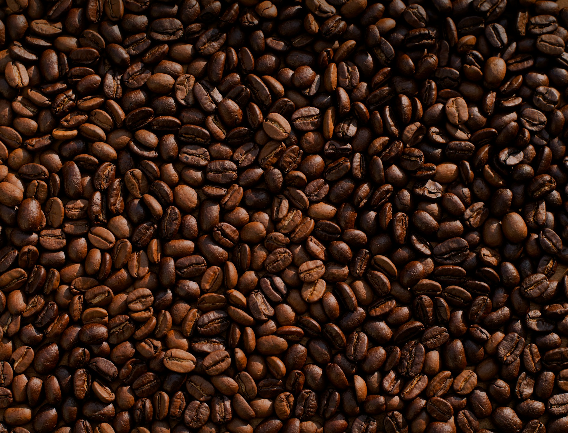 How may drinking coffee every day affect your ageing process?