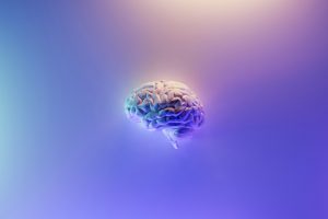The Best Methods for Enhancing Your Brainpower That Will Actually Help You Learn More Quickly