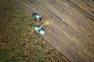 What the Emergence of Regenerative Agriculture Entails for You and Your Business