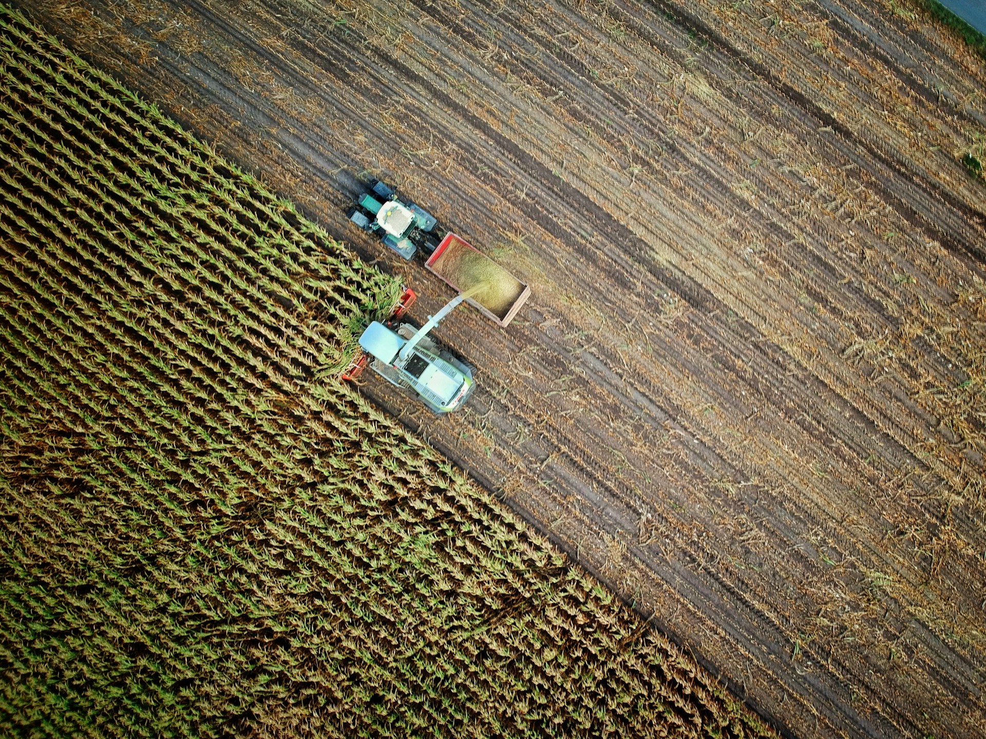 What the Emergence of Regenerative Agriculture Entails for You and Your Business