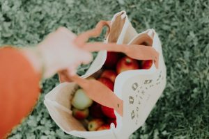 Buying Groceries That Are Friendly to the Environment What to Buy and What to Avoid