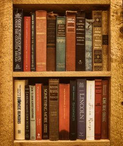 A Selection of the Finest Biographies That Instruct Leadership and Resilience