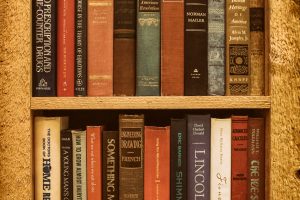 A Selection of the Finest Biographies That Instruct Leadership and Resilience