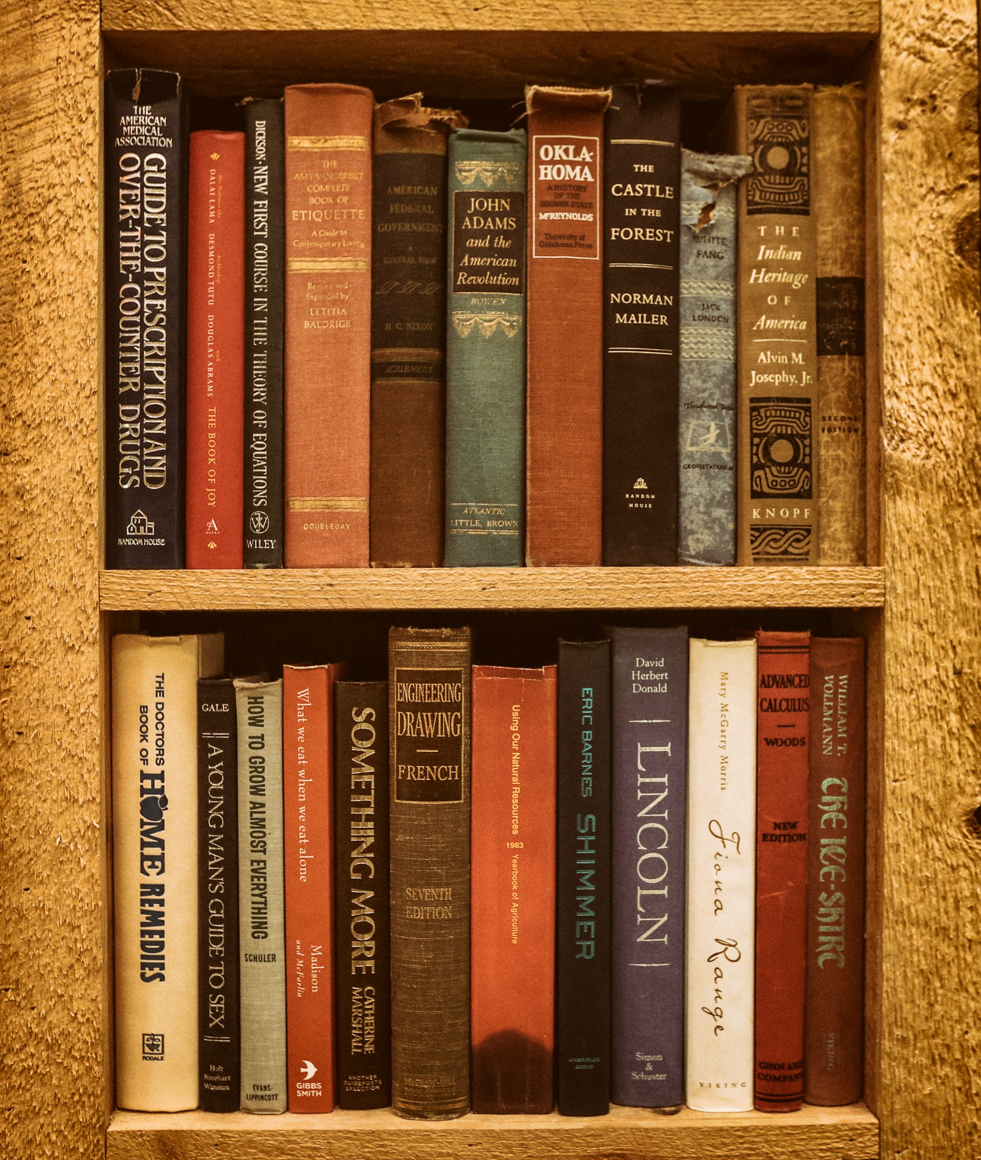 A Selection of the Finest Biographies That Instruct Leadership and Resilience
