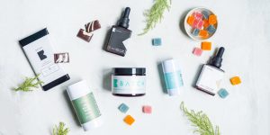 Eco-Friendly Supplements, Skin Care, and Wellness Gear: Sustainable Health Products