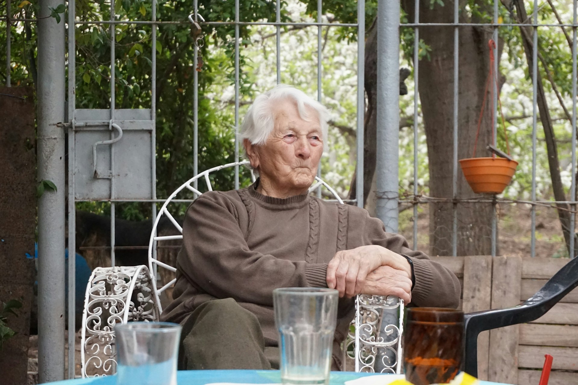 The Rise of Longevity Science and Biohacking as Methods of Extending the Length of One's Healthy Life