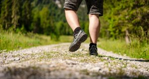The Science of Walking After Meals for Better Digestion